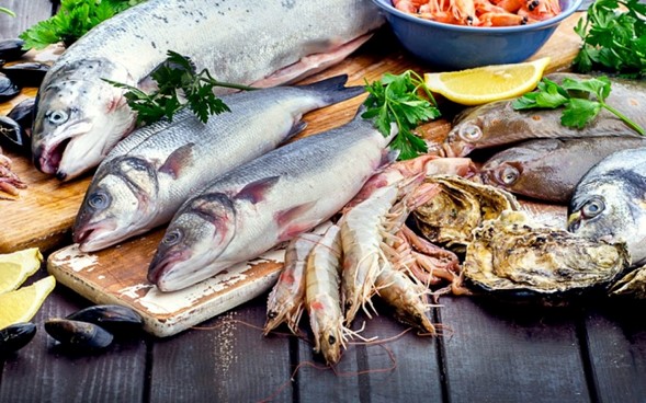 Garantizado el abasto de pescados y mariscos de producción nacional para la temporada de Cuaresma - NTP Newss